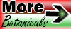View all Botanicals and Kava Kava products