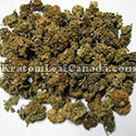 wild_dagga Flower Pod